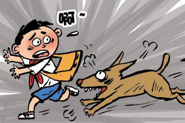 家长|家长如何保护我们的孩子，这些方法很有效伤杀力极大的狂犬病