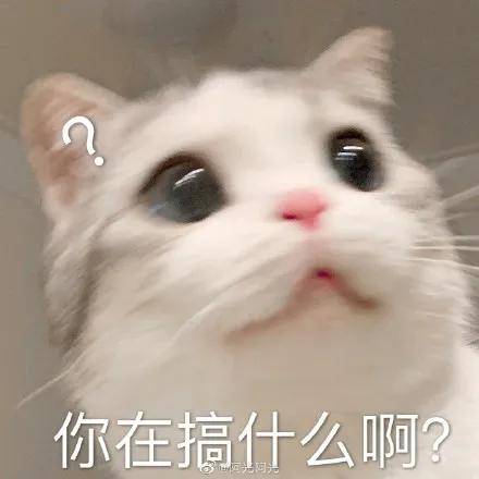 李沁|原创李沁杨洋复合了?那乔欣怎么办啊?