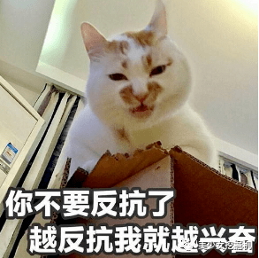 972877dd17b341c986510e8ba2665cb4.png