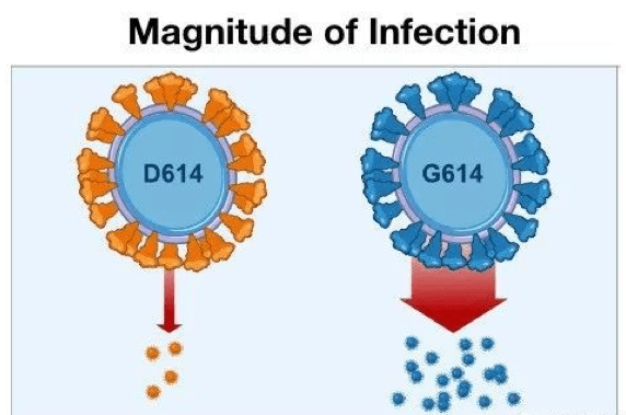 行业|郎世杰：新冠疫情变异，疫情或长期化
