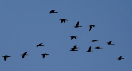 南宁卖地占gdp_南宁捡尸(3)