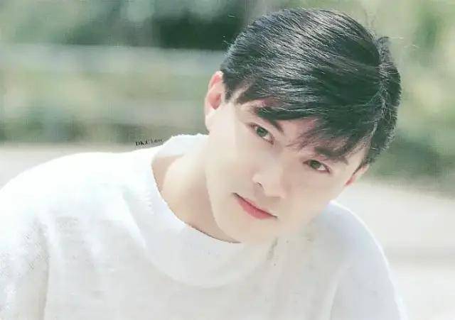 林青霞|性转版林青霞、霸屏90后童年的“正统小生”，被忽视的颜值巅峰太惊艳！