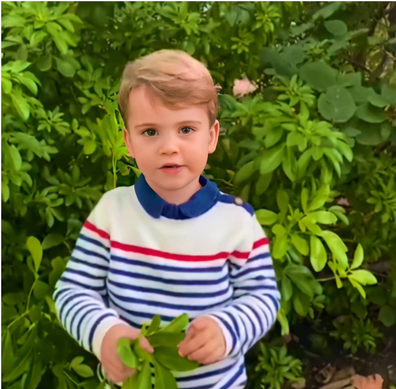 路易|路易穿86元新衣！长袖T恤内搭小翻领，一身高街打扮藏不住贵气