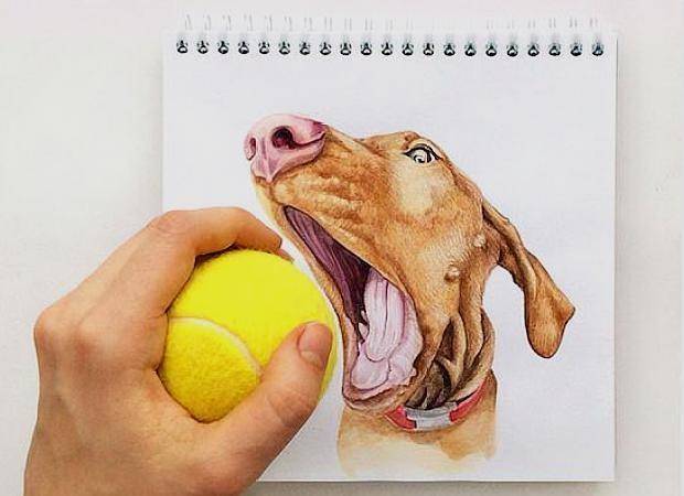 狗为啥总是抱腿 28a1793edcd9489a853ac8b9d787feb1.jpeg