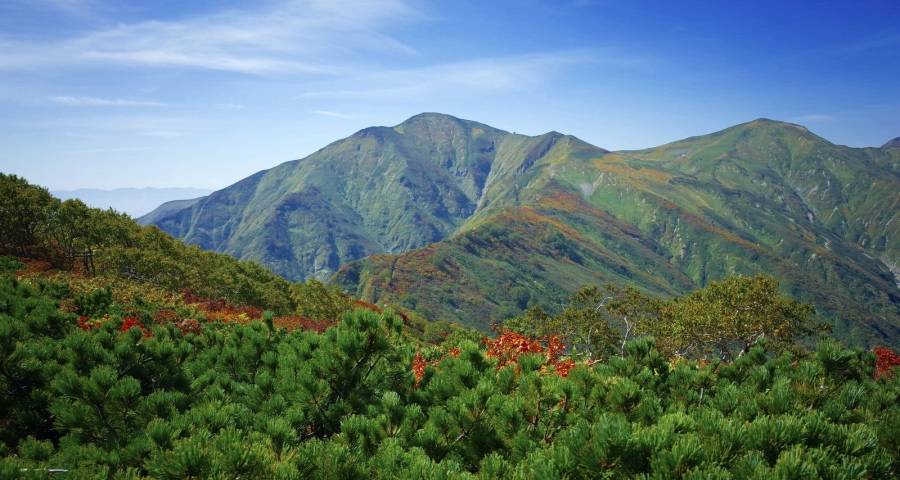 家电行业或步入一轮涨价新周期-家电圈官网