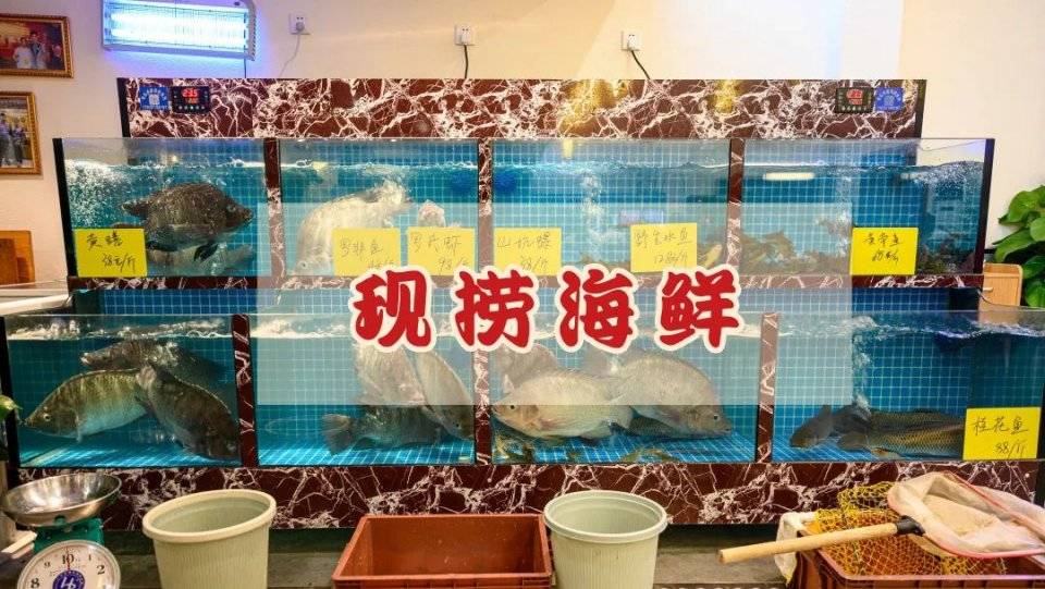 pm|一口就飚汁乳鸽！皮脆、肉香