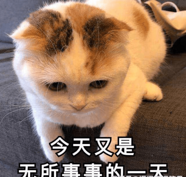 09c398918c75430abd999423c5ef1195.png