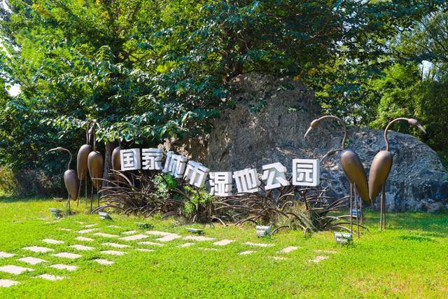 带你打卡潍坊家门口美景:植物园,虞舜公园,白浪绿洲湿地公园