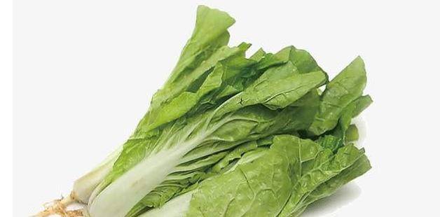 92409aa81be142dd8d4e7cdc764ec696.jpeg