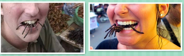 见闻记录|大蜘蛛张牙舞爪 烧烤炸张口吞下