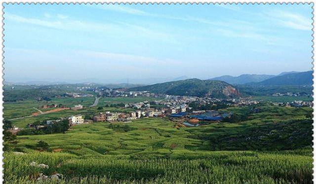 常宁gdp_吴冠希张常宁结婚照(2)