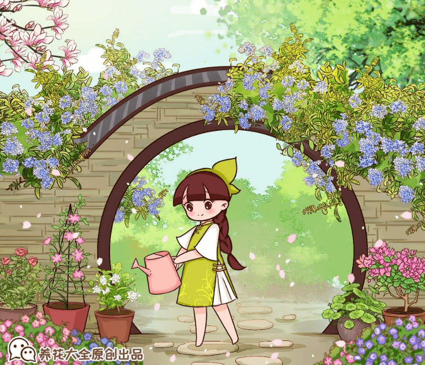 d48edefab5044cd398352ae073b15377.png