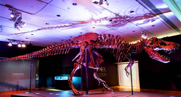 历史|霸王龙“史丹”拍出预估价格四倍