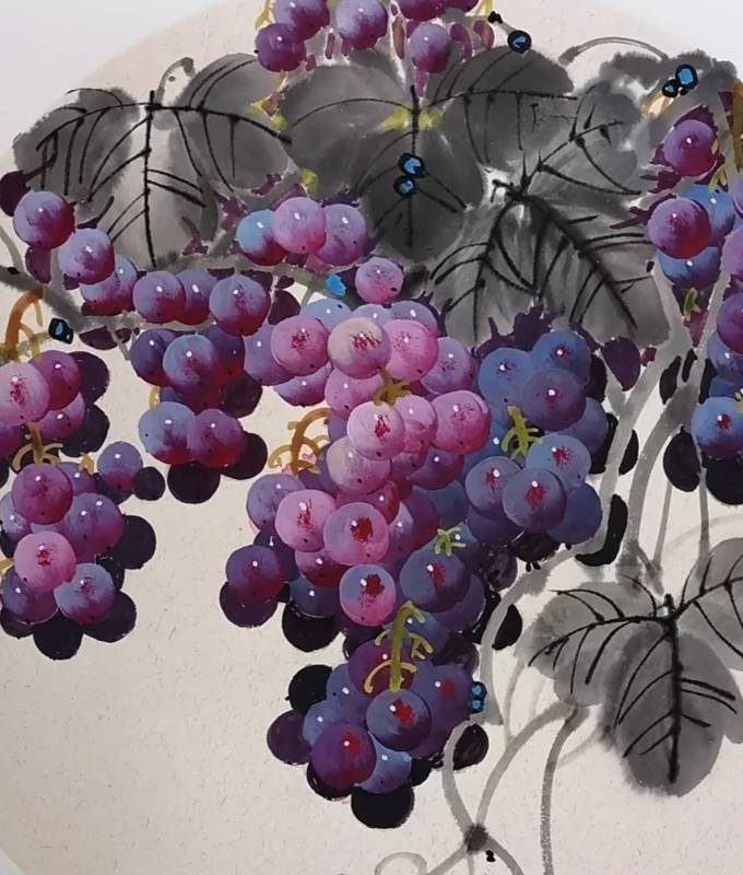 国画写意葡萄,生动形象
