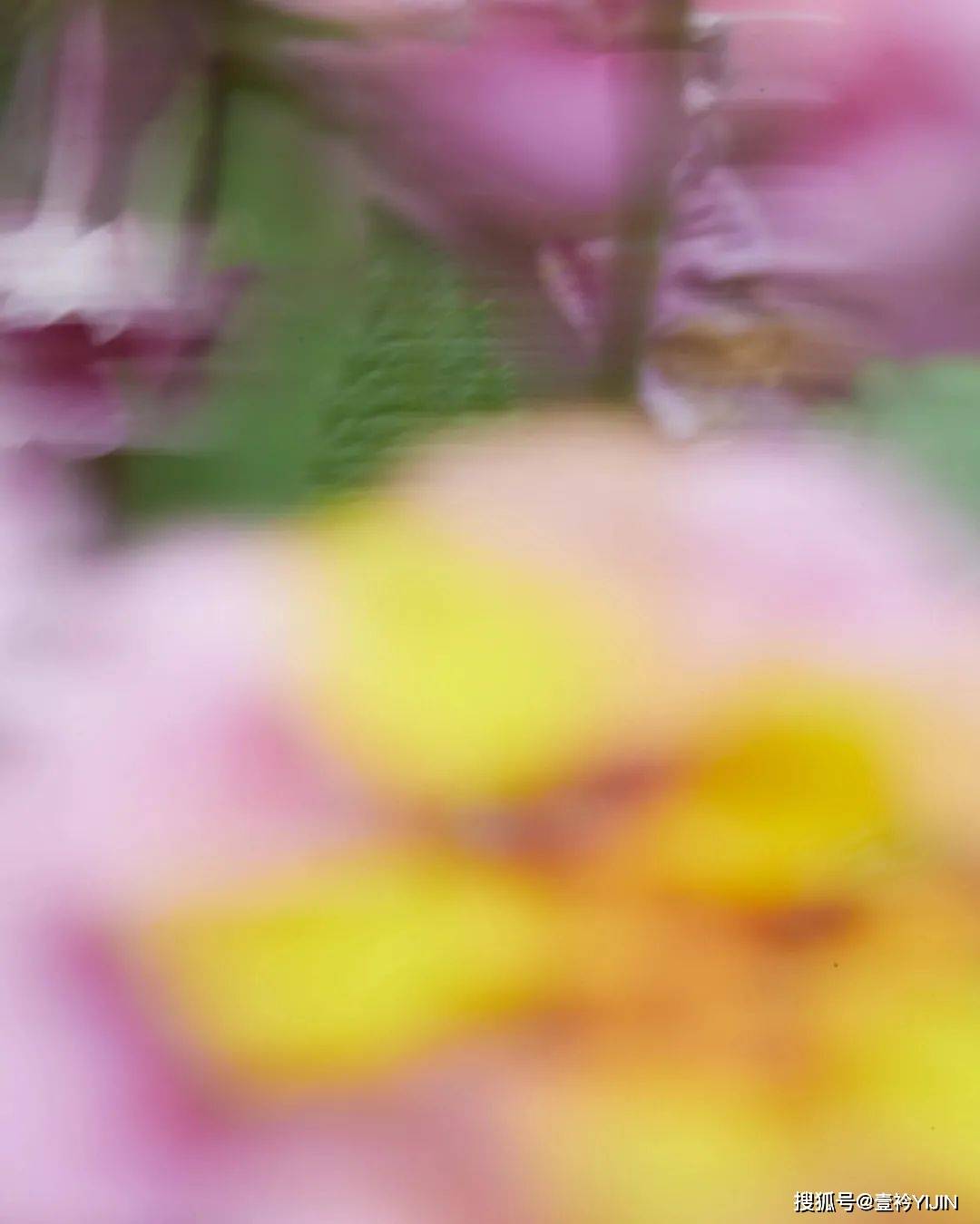 系列|秋天+日常生活碎片+小戏剧=日本设计师品牌MURRAL