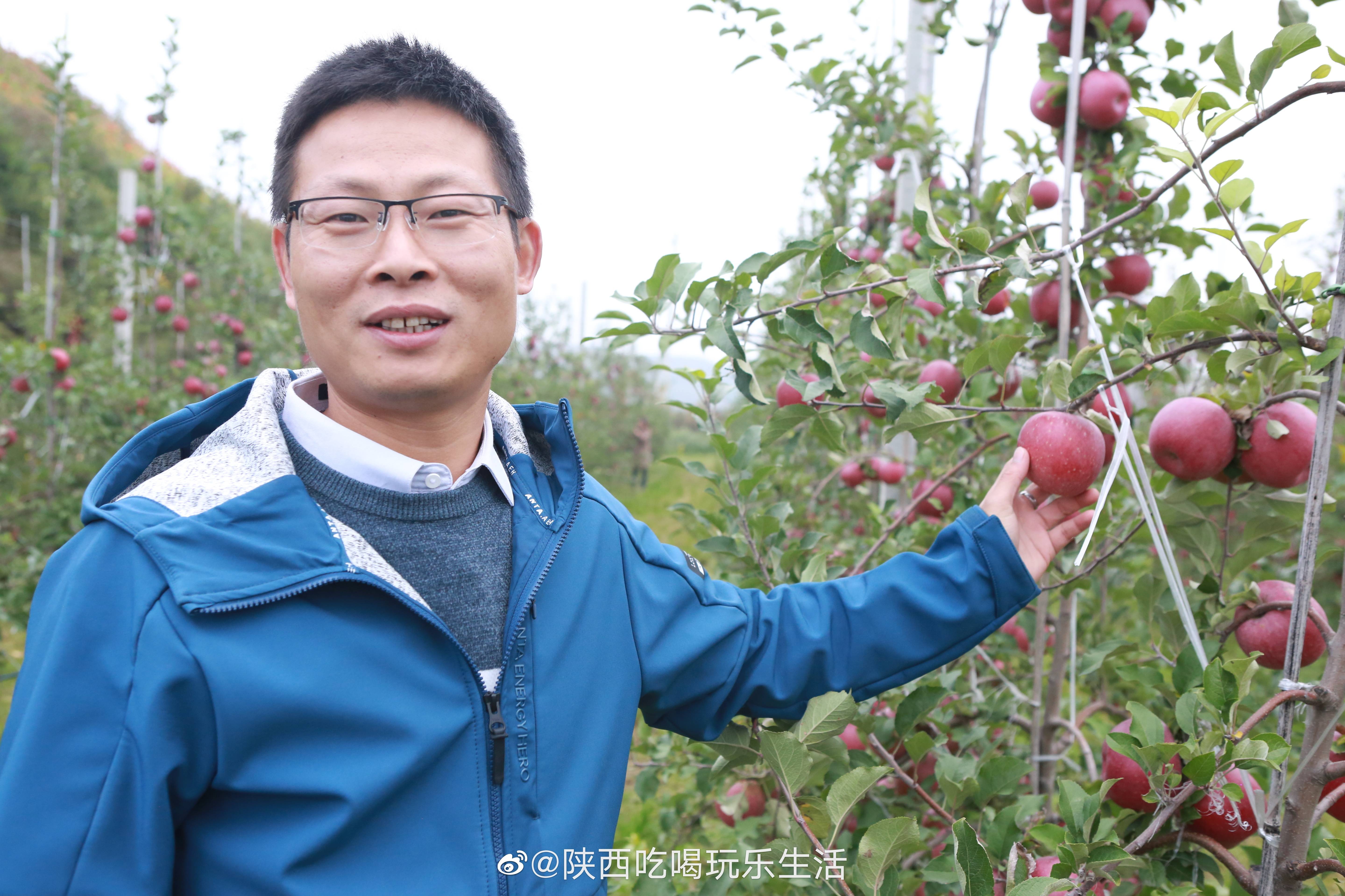 百花村|消费扶贫e起来走进宝鸡千阳 探访苹果产业发展千阳模式