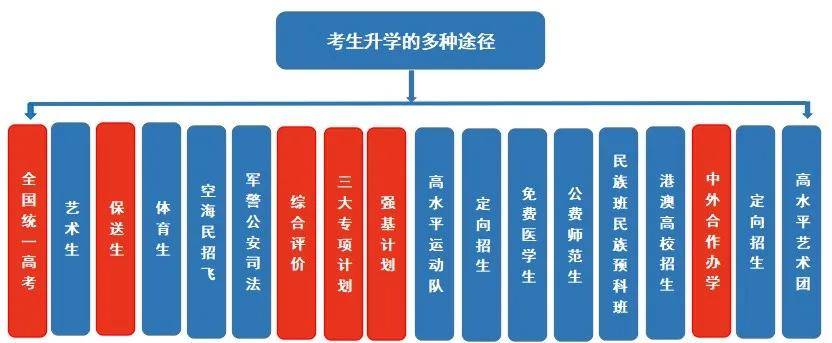 强基|条条大路通名校！强基/综评/专项计划，你适合哪一条？