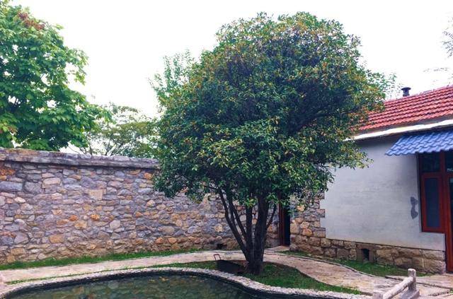 济南有座石崮寨 济南有座石崮寨