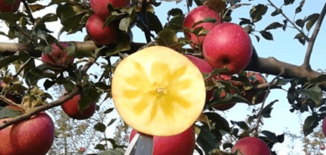 85ab505053dc48df92047bdfea9c3d9c.png