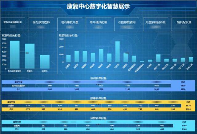 宁夏残疾人康复中心智慧医疗数据可视化分析平台