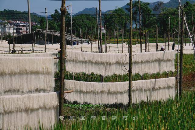 将挂有米面的竹竿支在通风处,天气晴朗时,晒上一天