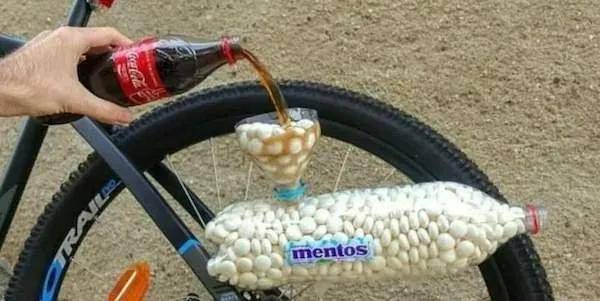 安全感|喵和鱼睡一起,是不是更有安全感?