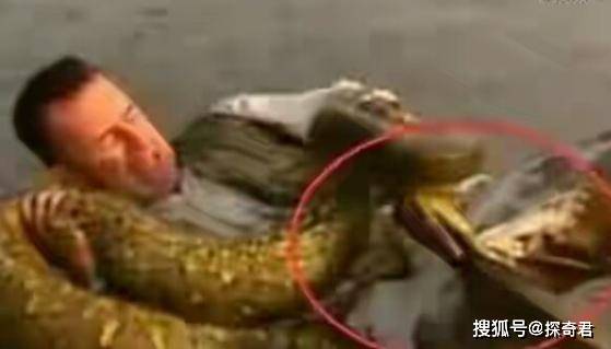 梦见被毒蛇咬只咬到衣服没咬到肉,梦境背后的深层含义与解析 梦见被毒蛇咬只咬到衣服没咬到肉,梦境背后的深层含义与解析