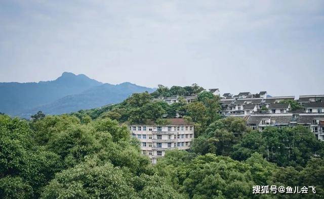 西南交大|四川第三高校，西南交通大学2020年录取分数线发布被誉为“东方康奈尔”