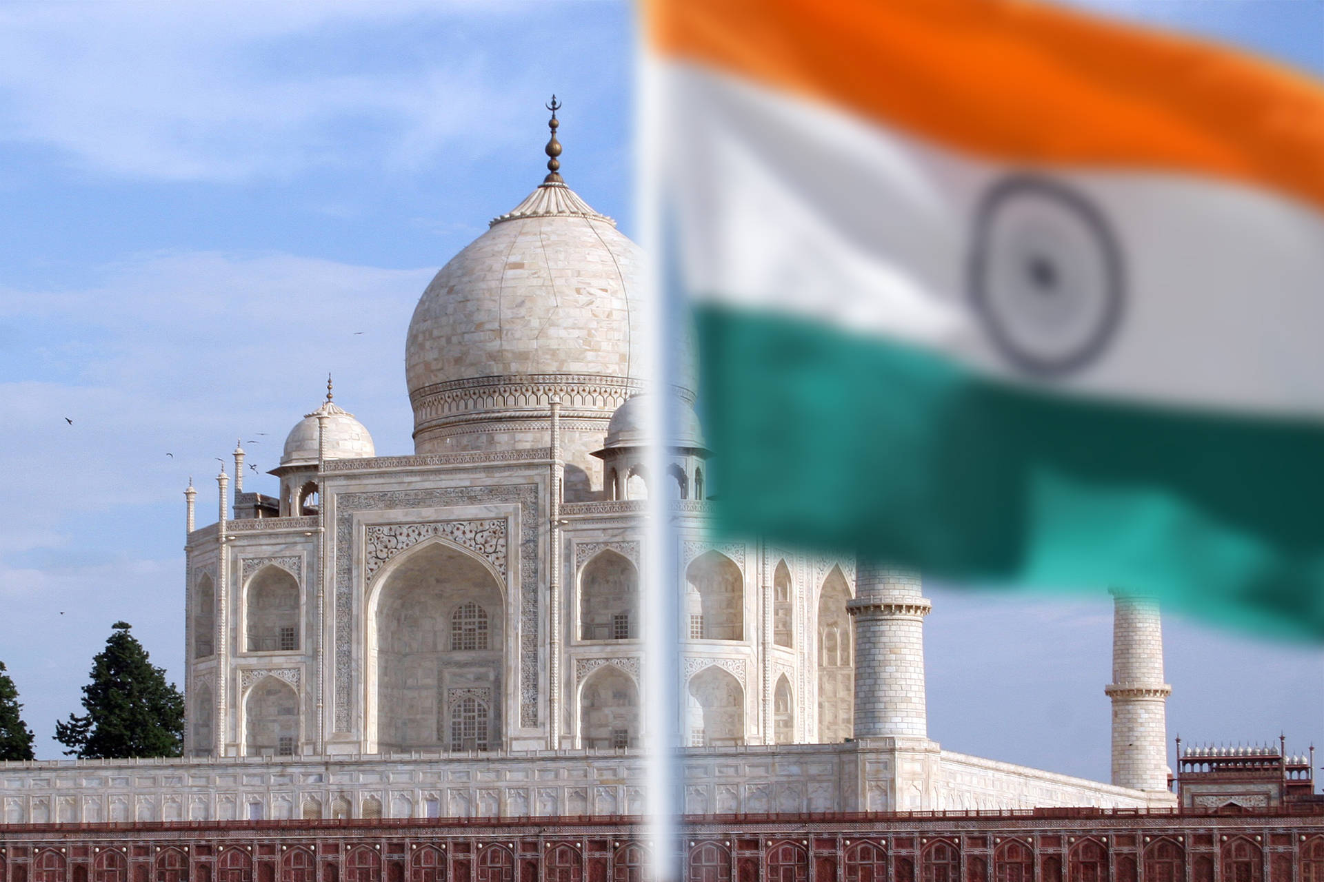 牛粪 gdp_鲜花插在牛粪上图片