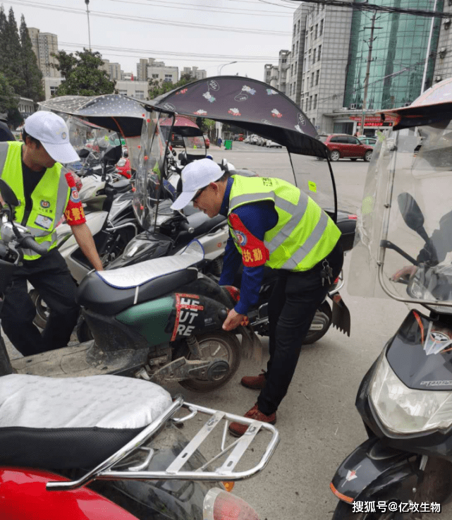 好的电动车牌照 92976d1cd16d4e8c9e6920797b470f2f.png