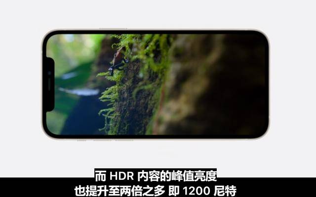 iPhone|iPhone 12新机发布：5549元苹果和同价位的安卓旗舰你选哪个？