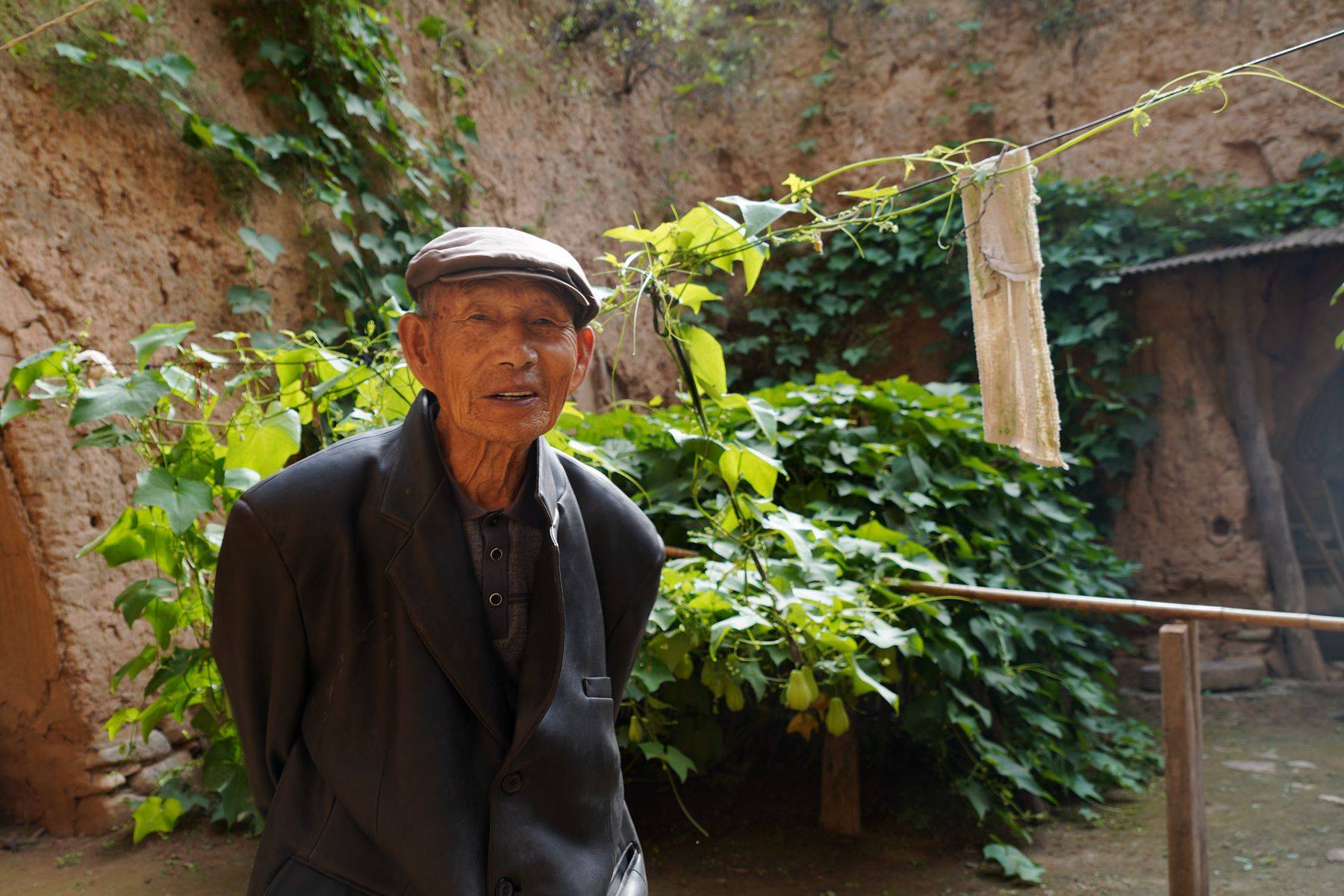 惯洞镇人口_人口普查(3)