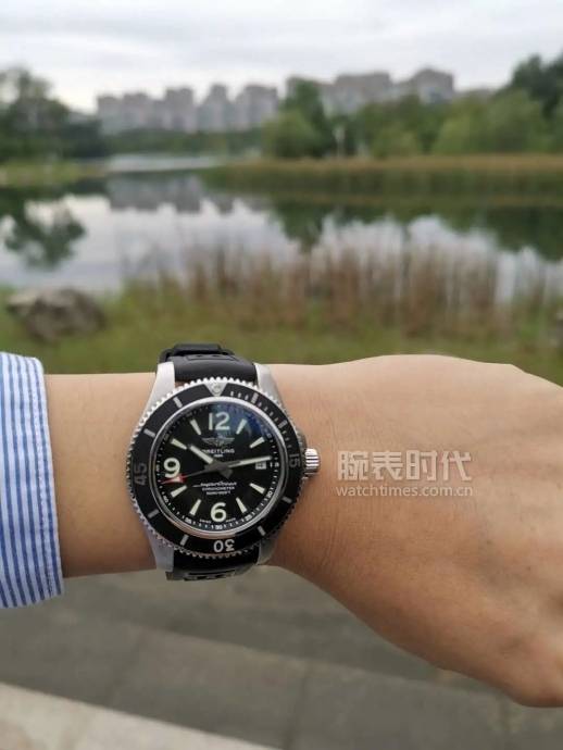 时间|近200位网友晒表，看看你的同款表友有多少？