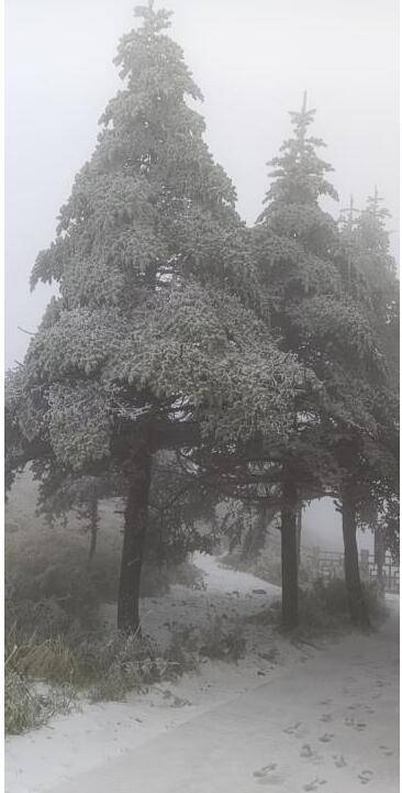 四川峨眉山迎入秋来第一场雪