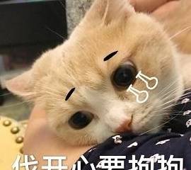 192156b884bc4415bc69b52e5cd92e6d.jpeg