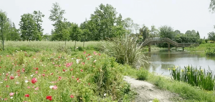 也是赏绿游玩的好去处～ 到青杠树村 一定要去香草湖湿地公园逛逛 园