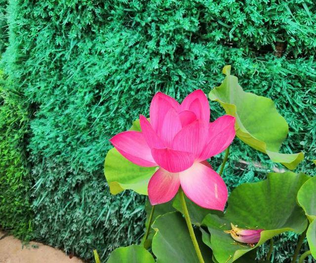 专业|2021国考公告已发布！哪些研究生专业考公务员比较有优势？