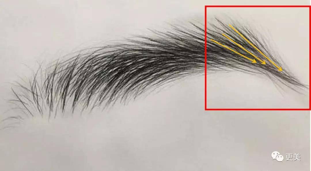 fa|侯佩岑忍了18天，终于用12个字打了昆凌的脸...