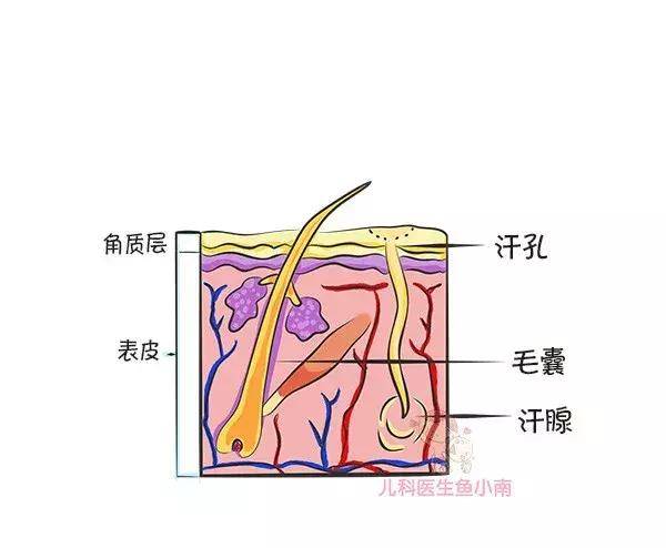 制服|轻松制服痱子10个宝宝9个痱子还反反复复？学会这2招