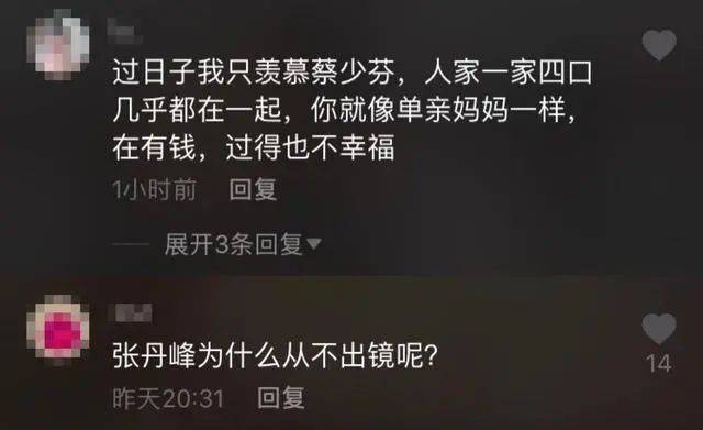 不晒张丹峰，坦言2020不留遗憾，洪欣怎么了？