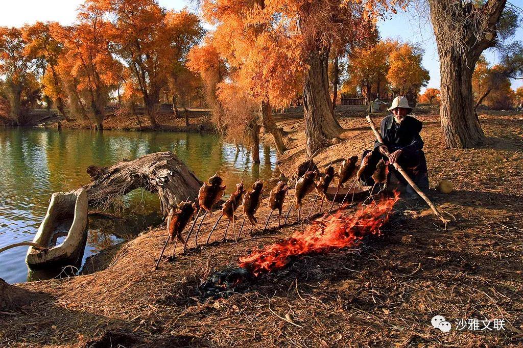 活动|沙雅十六万元摄影大奖等您拿！