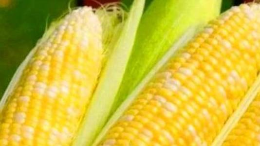 哪些食物里有叶黄素成分 66d42a83ab6e4c6b8616fceaa1371f63.jpeg