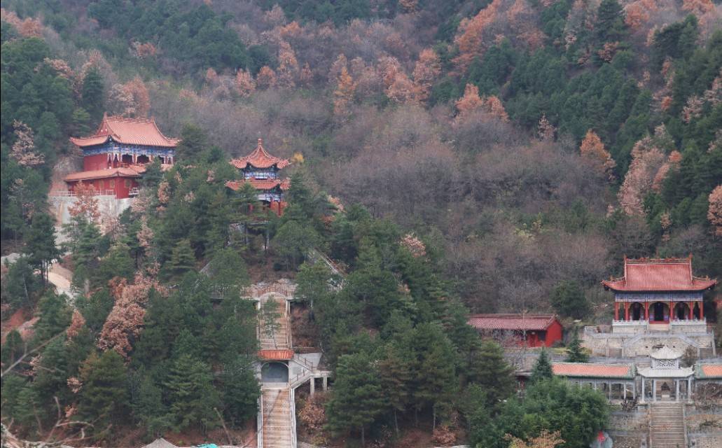 大山里的寺院苍松满谷山风吹来松涛阵鸣天水净土寺游记