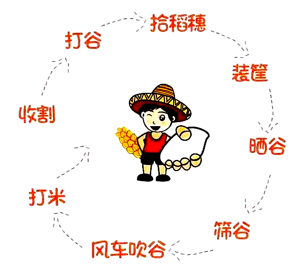 割稻了割稻了田间稻客出发