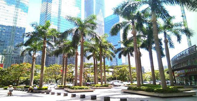 新一线城市人均gdp出炉_省会城市人均gdp排名(2)