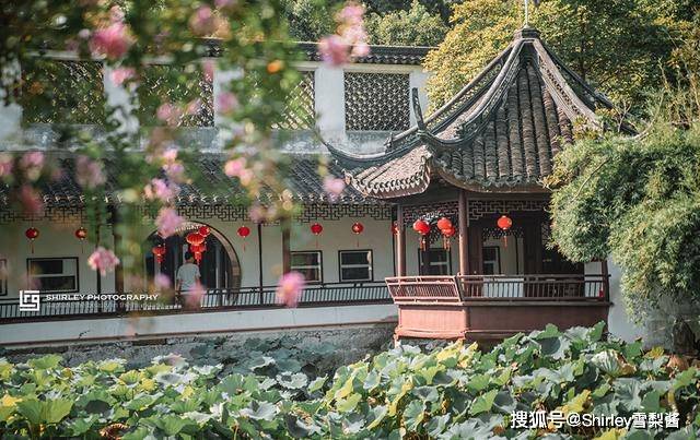 上海最古老的园林，已有900多年历史游客却很少，名字常让人误会_醉白池