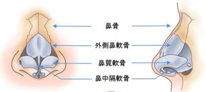赵丽颖|鞠婧祎和赵丽颖竟然是同一个医生？