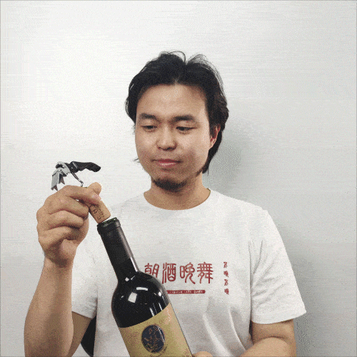 【艺术记】米开朗琪罗——怼金主,喷达芬奇