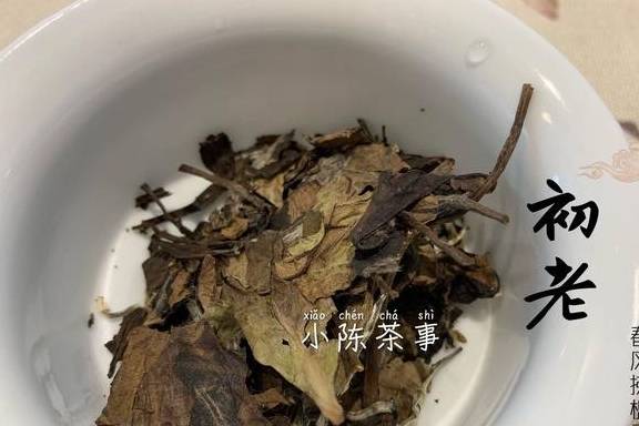 新茶|但是老茶是要闷的，请别在相信这无稽之谈新茶有些不太适合闷泡