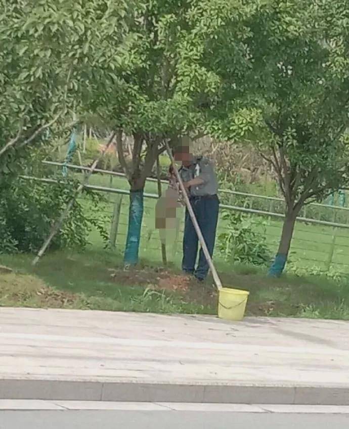 流浪狗|家长质疑学校里有流浪狗，校长却亲自为它们组织了一场演讲……